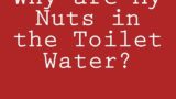 Why are My Nuts in the Toilet Water? and Other Questions Older Men Need Answered