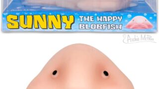 Accoutrements Sunny The Blobfish – Novelty Toy- Squishy Toy