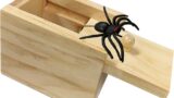 Jishi Spider Box Prank Toy Gag Gift Funny White Elephant Gifts for Adults, Wooden Christmas Birthday Surprise Gift Box Toys for Kids Teens Boys 6-8-12, Hilarious Stocking Stuffers for Adults Men Women