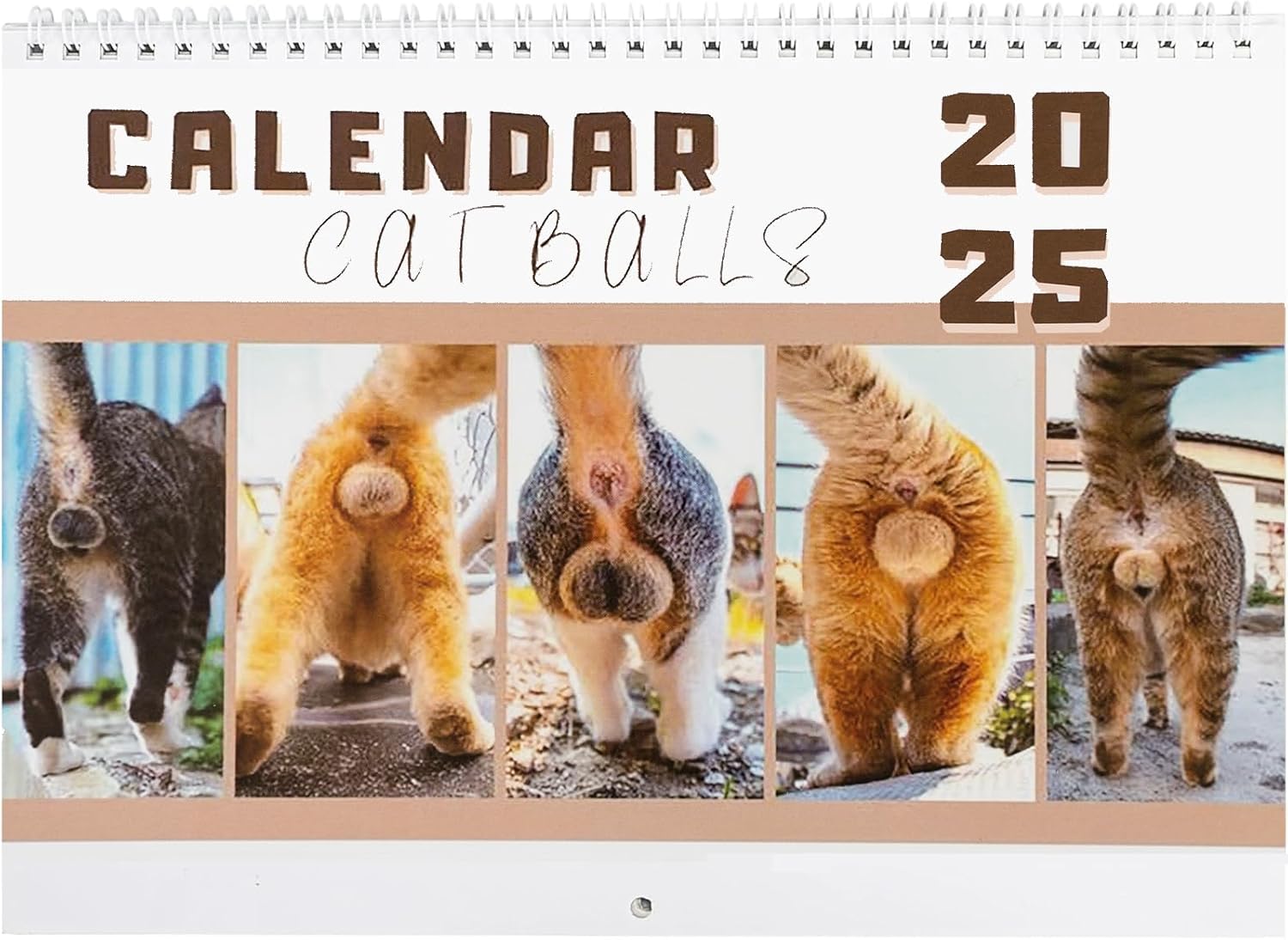 2025 Wall Calendar, 12 Monthly Funny Cats Calendar, Hangable Wall Calendars, 9.84″ x 15.04″(Open), Funny Wall Art Gag Humor Gift 2025 Calendar for Friends, White Elephant Gift, Xmas Christmas Gift