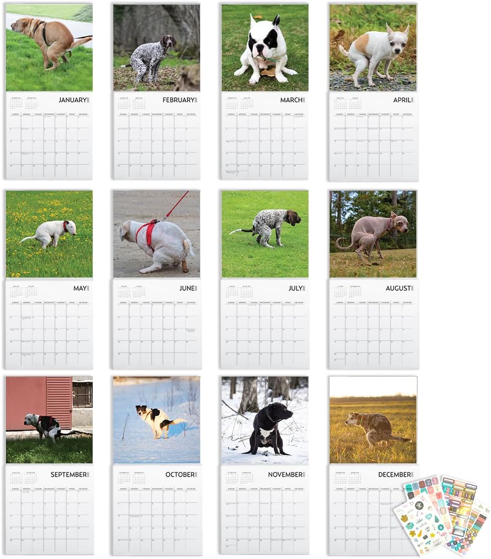 Dog Pooping Calendar 2025, 12 x 12 inch, Funny Gift, White Elephant, Gag Gift, Secret Santa