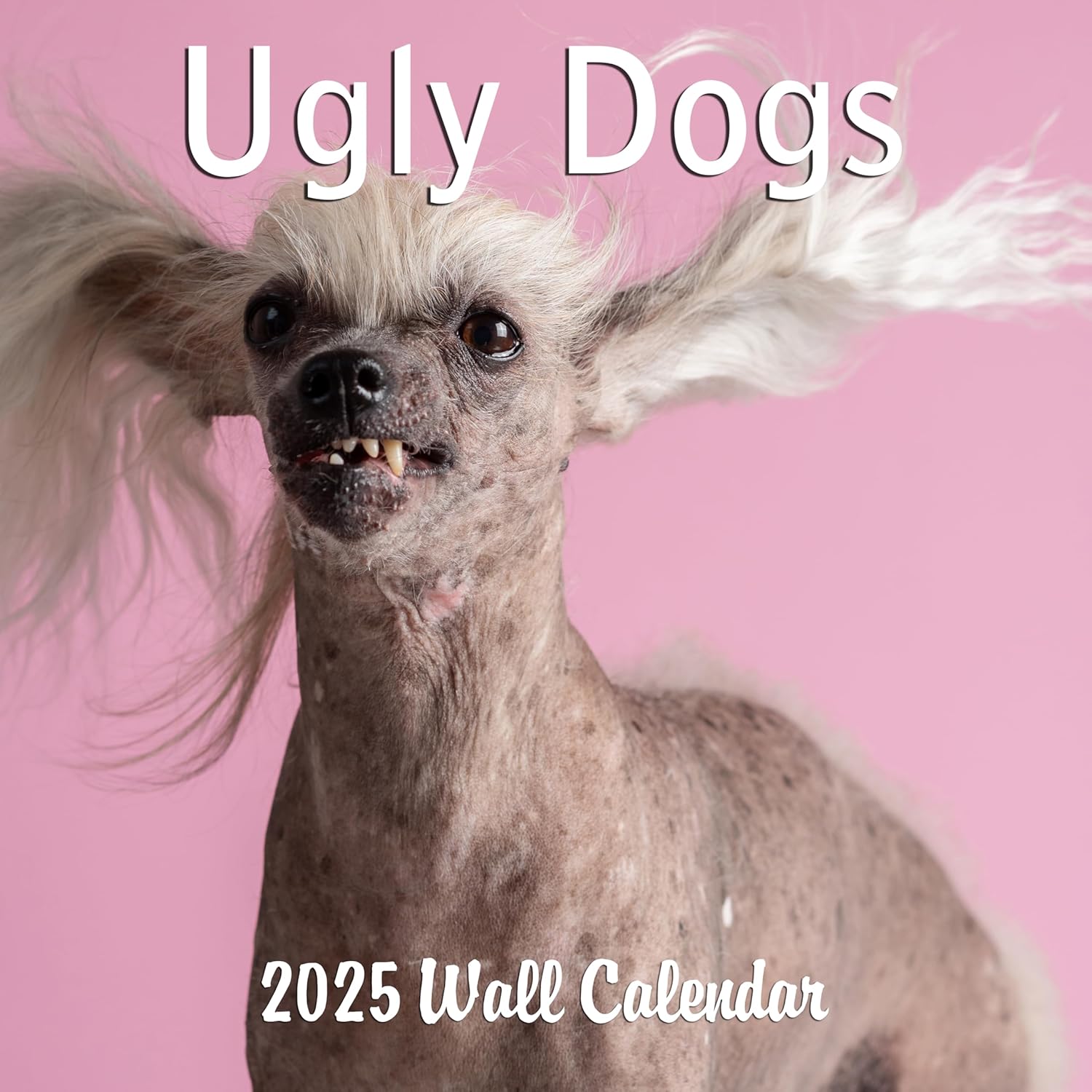 2025 Ugly Dogs Monthly Wall Calendar | Hilarious Gag Gift for Dog Lovers | Funny Dogs White Elephant Gift Calendar