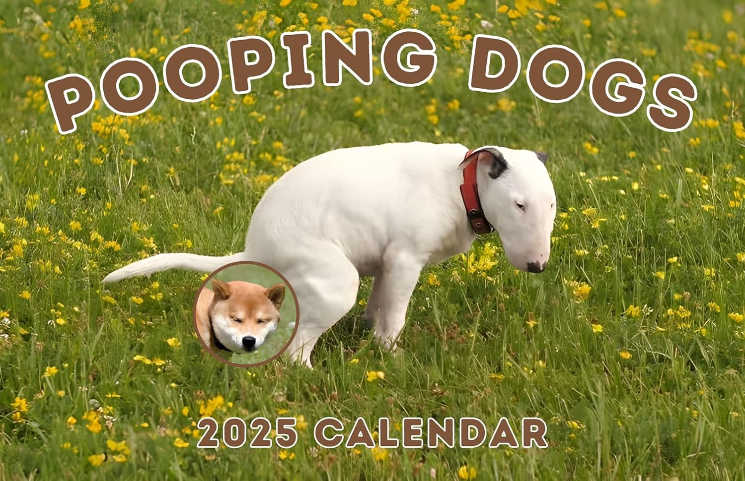 Pooping Dogs Wall Calendar 2025 – White Elephant Gag Gift for Adults – January 2025 to December 2025, 17″ x 22″ Opened – Thick and Sturdy Paper, Dogs Calendar Gag Gift – Funny Wall Art Cute Dog