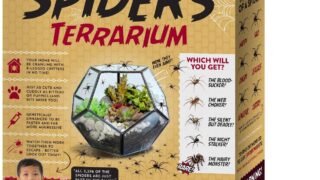 Prank Gift Box Hatch Your Own Spider Terrarium – Perfect Gag Gift and Funny White Elephant Idea